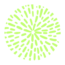 img2 Rota ESG Via Floresta Sustentabilidade ESG e bioeconomia